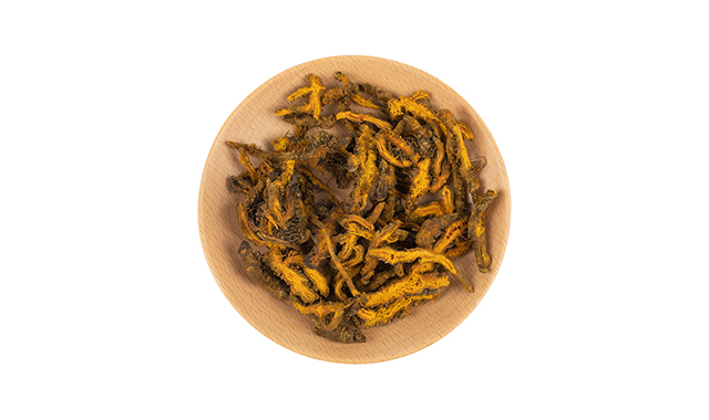 1.Coptis-chinensis