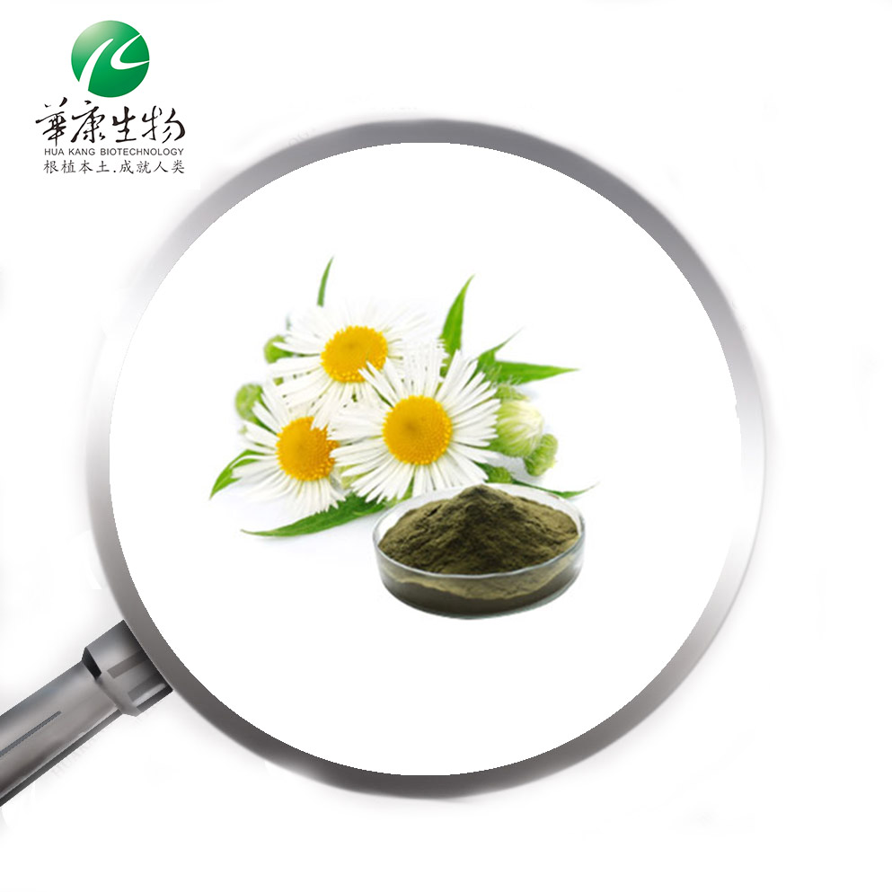 E 洋甘菊