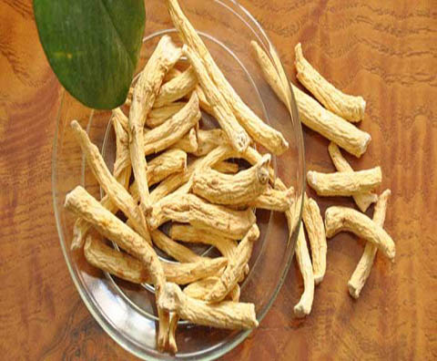 Ginseng Americano 480-396 (1)
