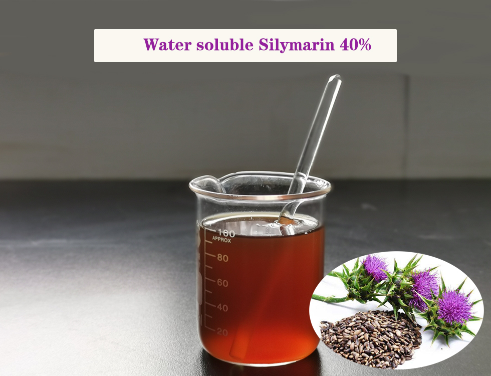 Water Soluble Milk Thistle Extract Extrato de cardo mariano solúvel em água