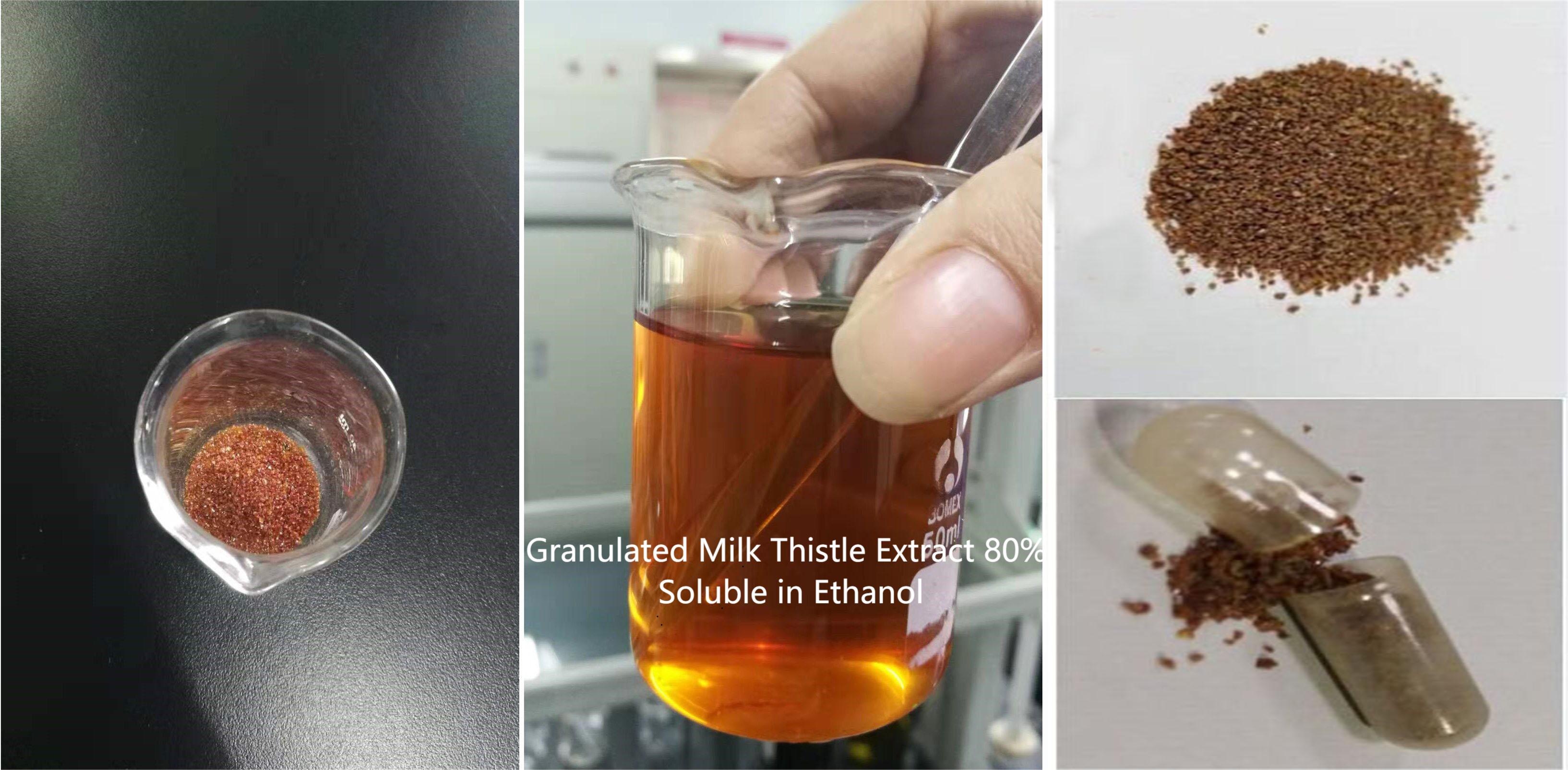 Granulated Milk Thistle Extract 80% Extrato Granulado de Cardo Mariano 80%