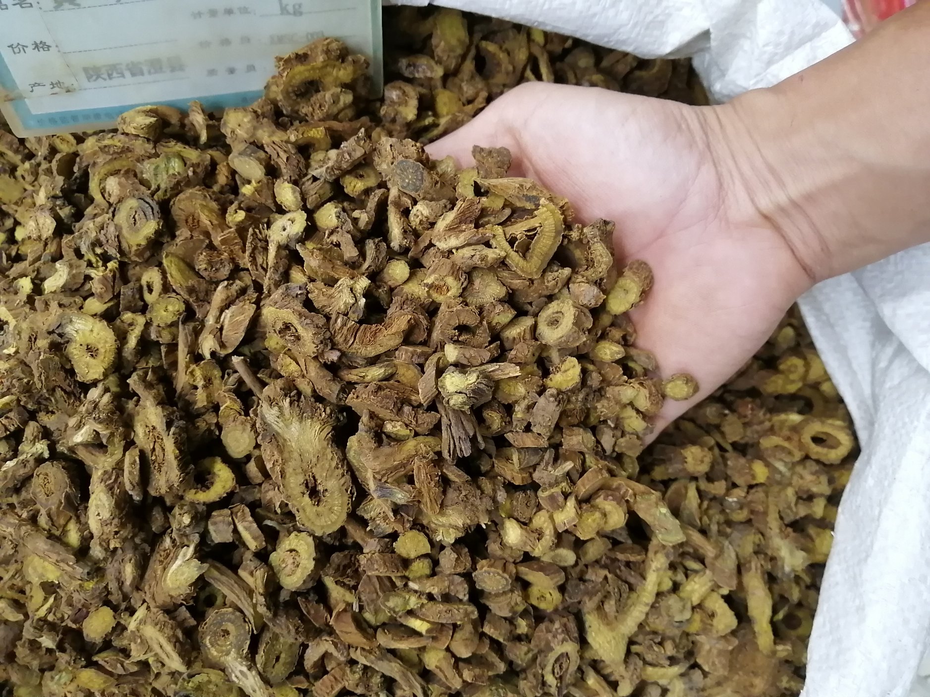 Extrato de raiz de calota craniana Baical (2)