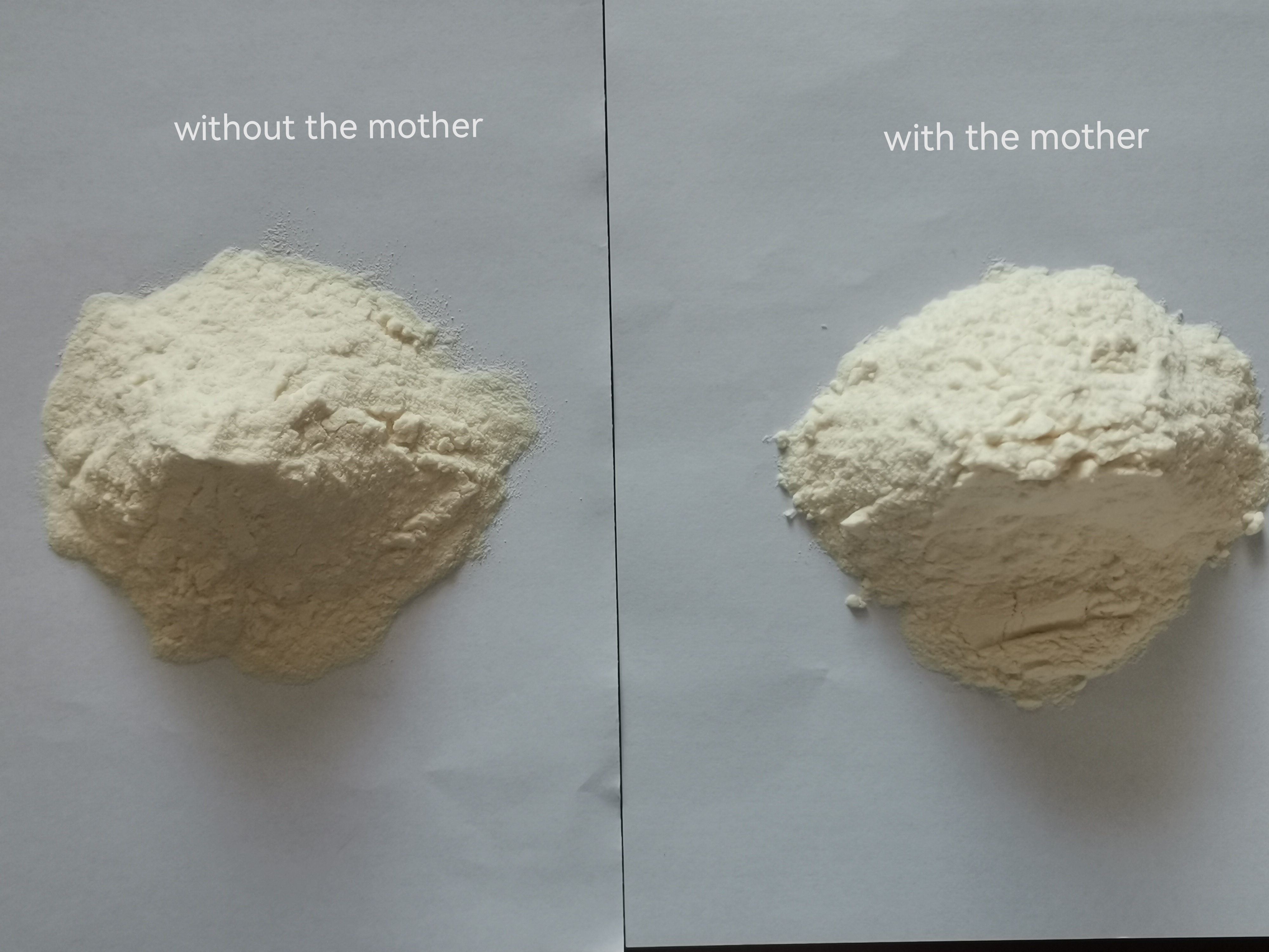 P&oacute; ACV com e sem m&atilde;e