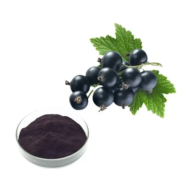 Extrato de groselha preta e suco de groselha preta em pó complementam antocianina
