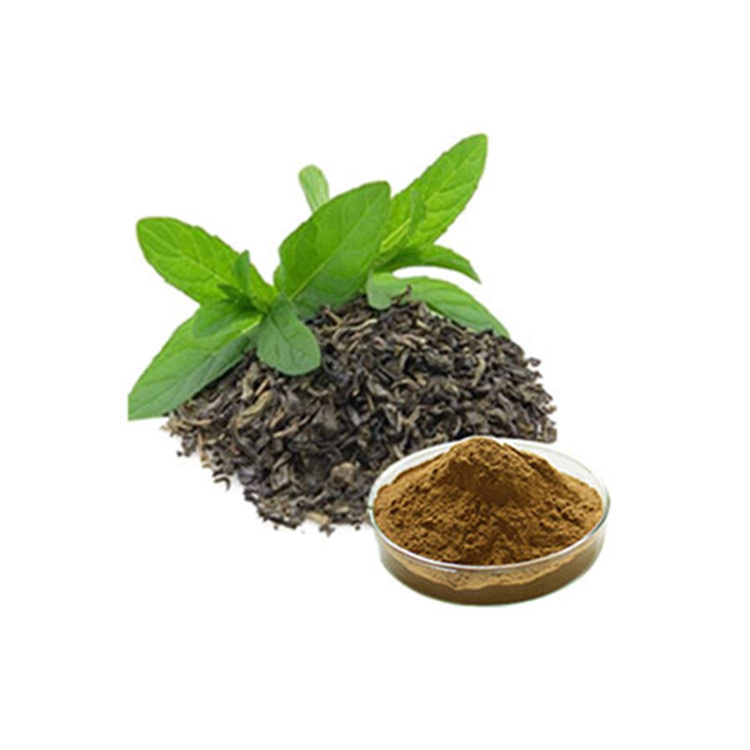 Extrato de Chá Verde