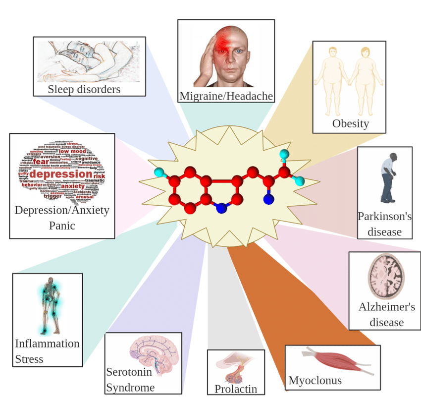 BENEF&Iacute;CIOS DE MULTI SUPLEMENTOS DO 5-HTP NO CORPO