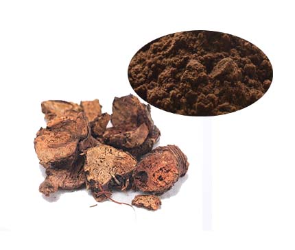 Extrato de Rhodiola/Extrato de Rhodiola Rosea 