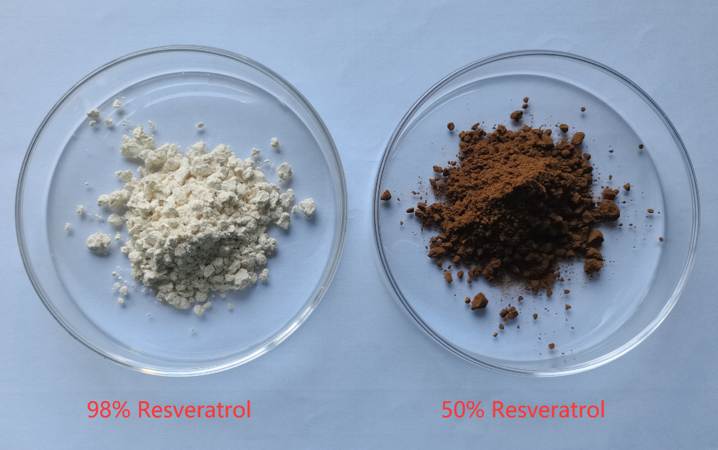 Trans-resveratrol, extrato de Polygonum Cuspidatum