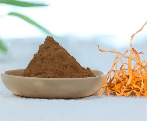 Extrato de Cordyceps Militaris