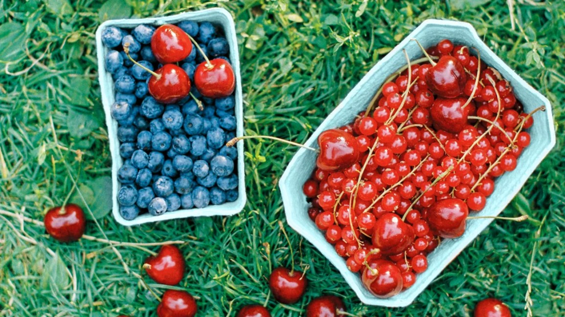 Antocianinas antioxidantes de extrato de sabugueiro de baixa caloria