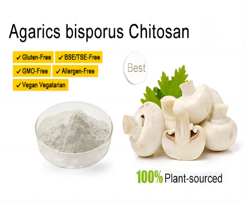 Quitosana Vegetal de Cogumelos
