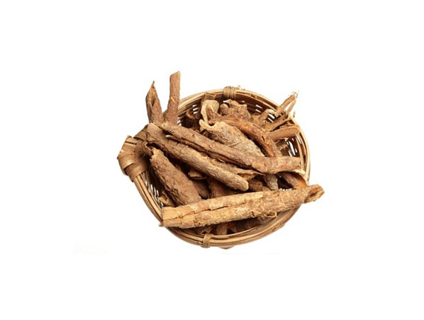 Extrato de Ginseng Siberiano