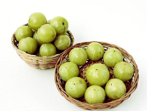 Extrato de Amla 