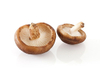 Extrato de Cogumelo Shiitake