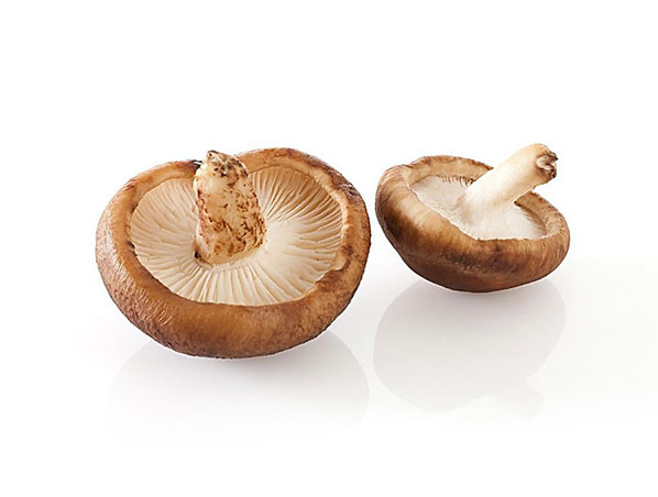 Extrato de Cogumelo Shiitake
