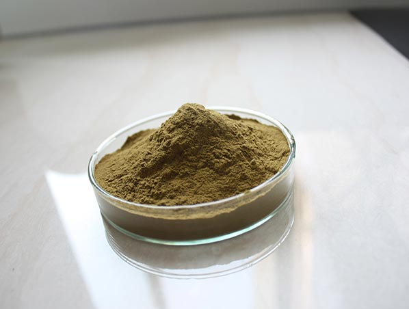 Extrato de Maca