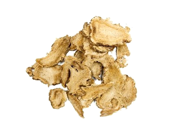Extrato de Angelicae pubescentis