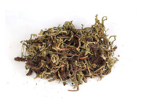 Extrato de Nardostachitis