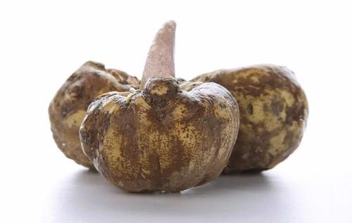 Extrato de Konjac
