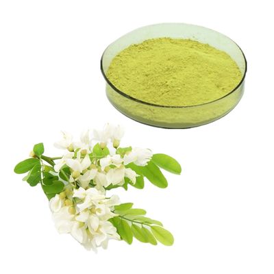 Extrato de Sophora Japonica (Quercetina)