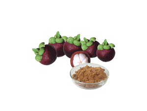 Extrato de Mangostão