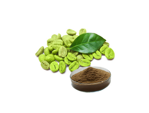 Extrato de grão de café verde