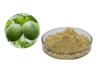 Extrato de Luo Han Guo/Extrato de fruta de monge/Fruta de monge orgânica