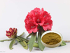 Extrato de Rododendro Caucasicum