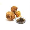 Extrato médico de cogumelo Agaricus Blazei