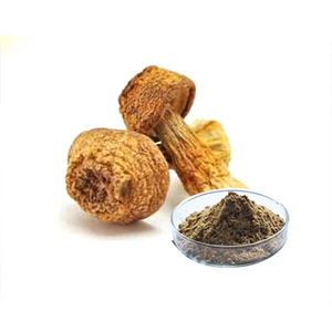 Extrato médico de cogumelo Agaricus Blazei