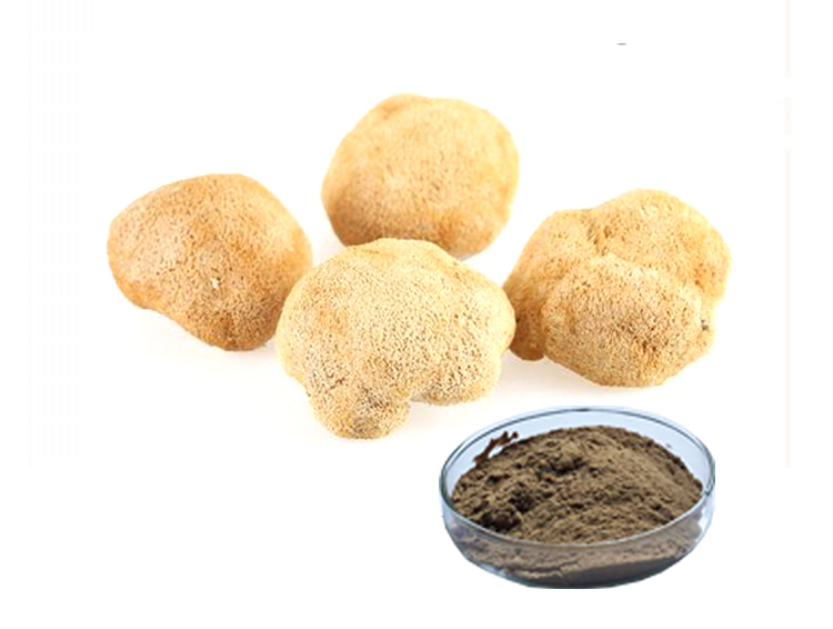 Extrato de Cogumelo Juba de Leão Orgânico