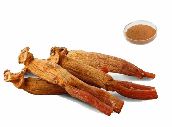 Extrato de Ginseng Vermelho da Coreia 