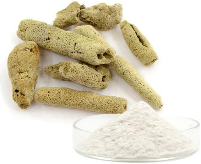 Microagulha esponja