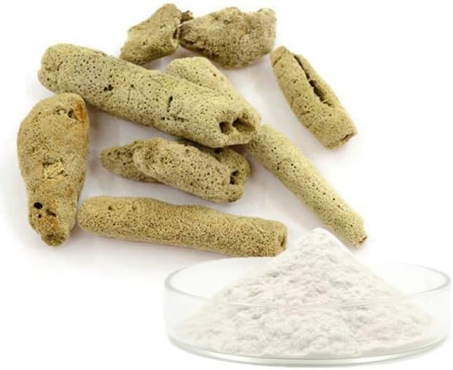 Microagulha esponja
