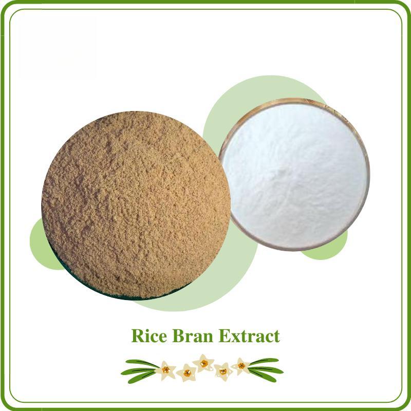 Policosanol de Farelo de Arroz: Ingrediente Super Funcional