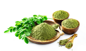 Extrato de Moringa/Folha de Moringa em Pó