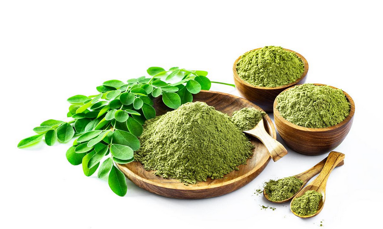 Extrato de Moringa/Folha de Moringa em Pó