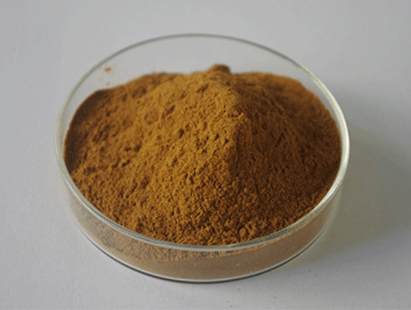Extrato de raiz de Morinda