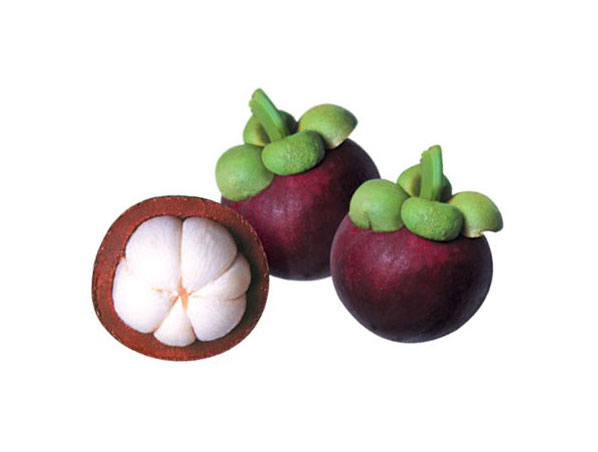 Extrato de Mangostão