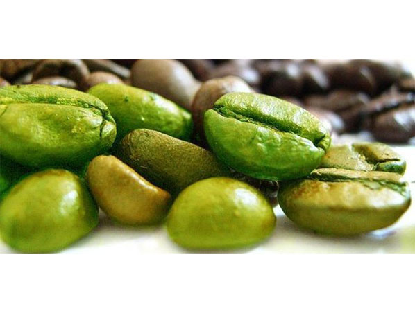 Extrato de grão de café verde