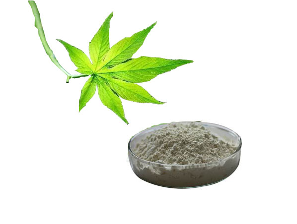 Extrato de Chá Doce
