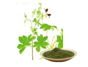 Extrato de Cranesbill