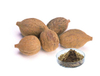 Extrato de Terminalia Bellerica