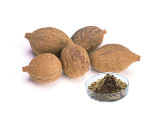 Extrato de Terminalia Bellerica