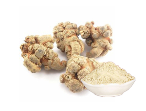 Extrato de raiz de Panax Notoginseng