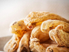 Extrato de Rizoma Gastrodia