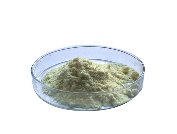 Extrato de Feijão Branco