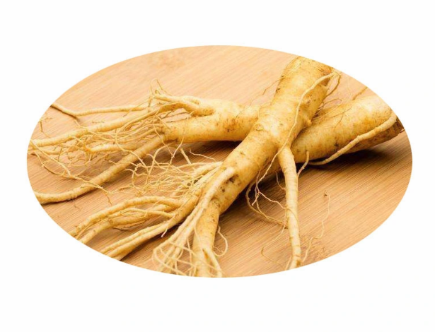 Extrato de Ginseng Coreano Orgânico 