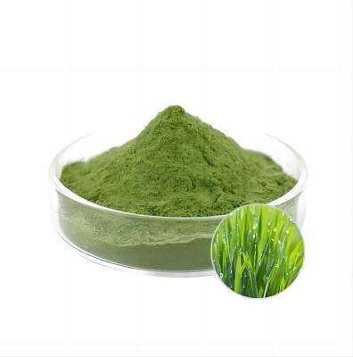 Pó de grama de cevada verde 100% natural