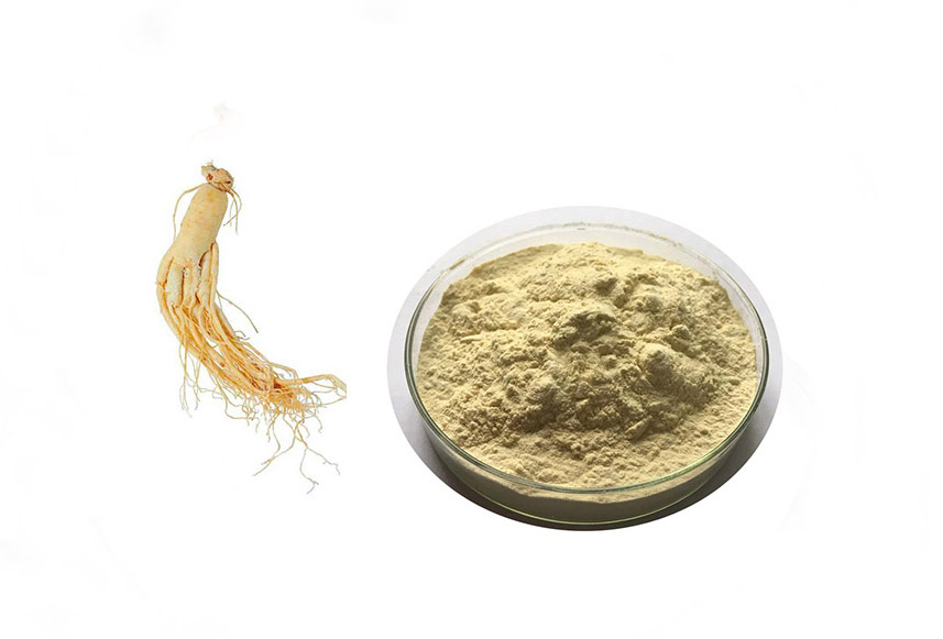 Aumente sua imunidade com Yin Quality Ginseng-America Ginseng